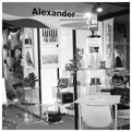 Stand Alexander